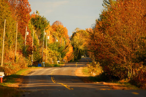 ferie d'autunno